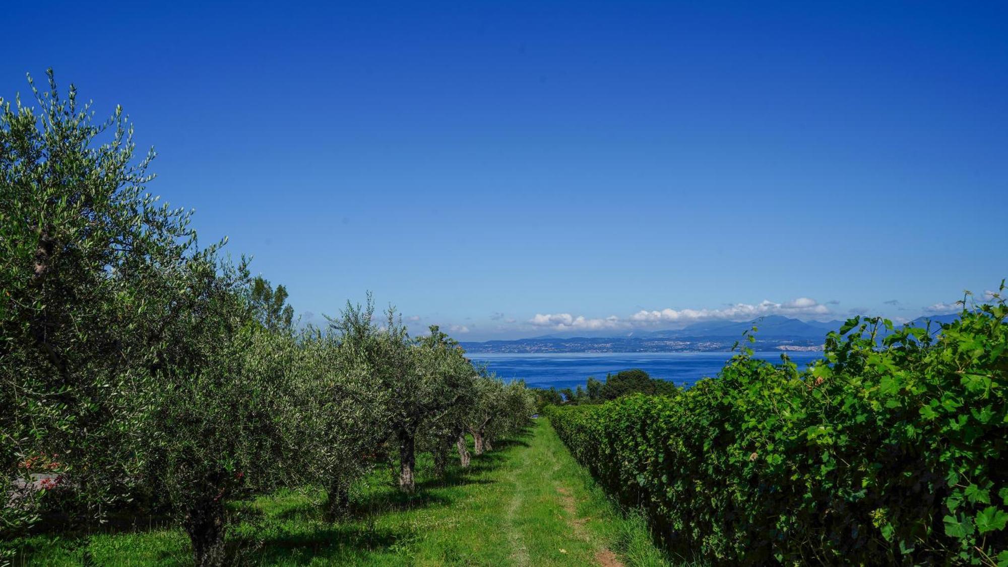 Cala Appartamenti 巴多利诺 外观 照片